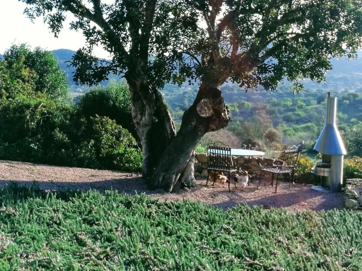 La Costa Loft Villa Son Macia  Holiday home