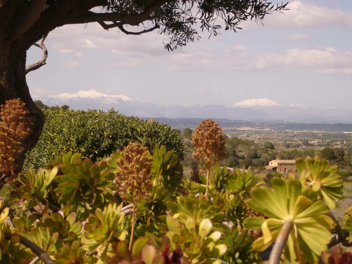 La Costa Loft Villa Son Macia  0*, Son Macia (Mallorca) Spain